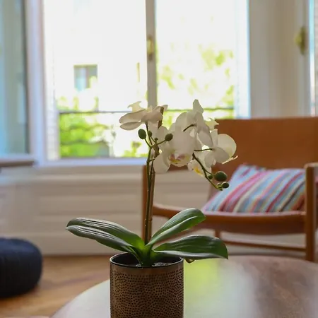Appartement La Terrasse Vaugelas - 2 Bedroom With Terrace Annecy